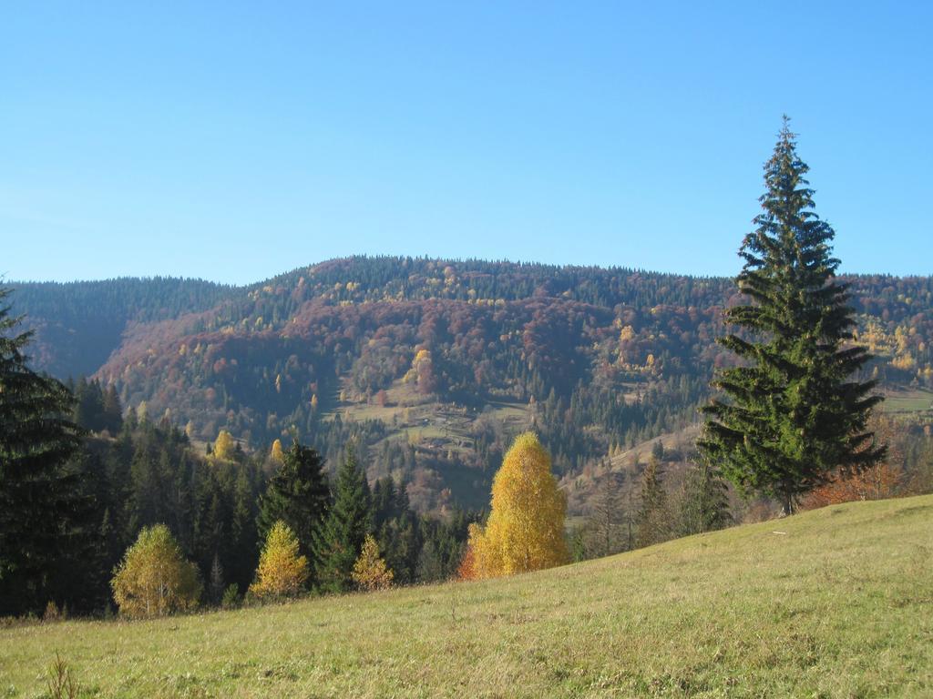Guest House Stari Druzy Slawske Exterior foto