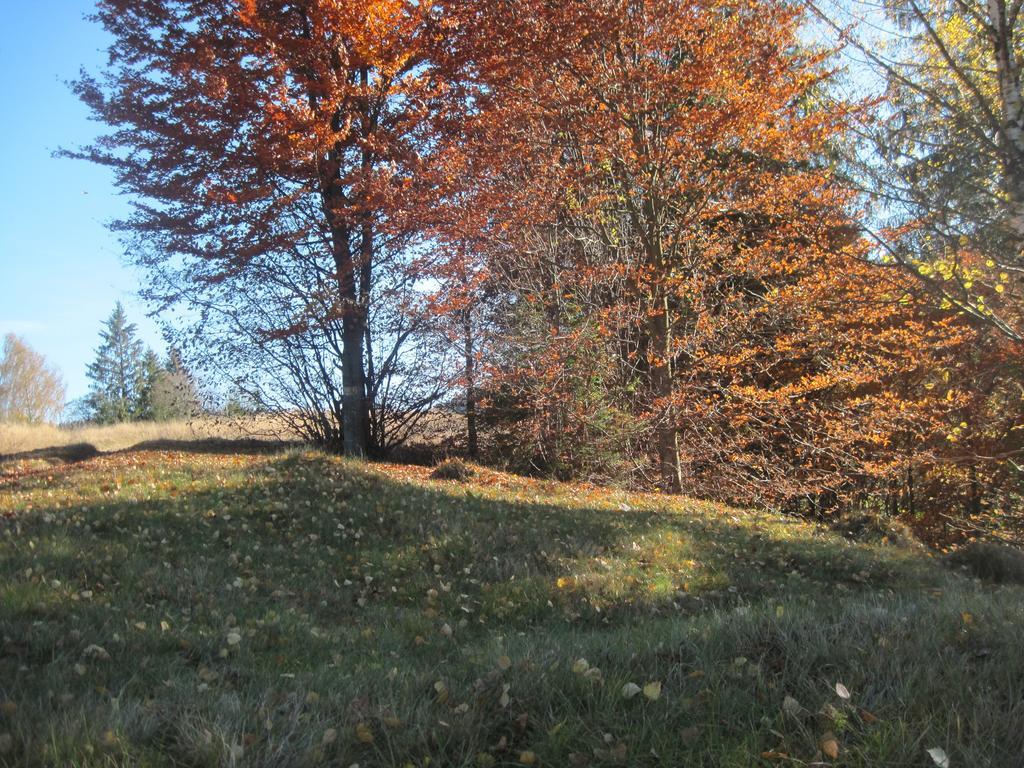 Guest House Stari Druzy Slawske Exterior foto