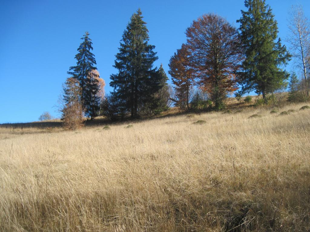 Guest House Stari Druzy Slawske Exterior foto